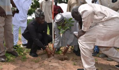 FRIN Launches Tree Planting Exercise at Modibbo Adama University, Yola