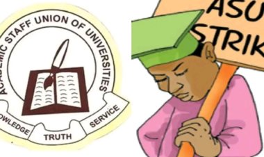 ASUU, Vice Chancellors Decry Poor Pay as Professors Earn ₦525,000 Monthly; Strike Looms
