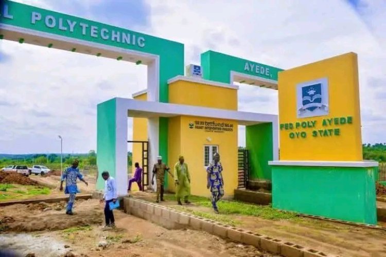 Federal Polytechnic Ayede Opens Applications for 2025/2026 Academic Session