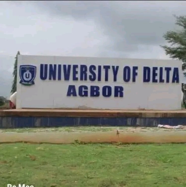 UNIDEL Extends Certificate Screening Exercise for 300-Level Students