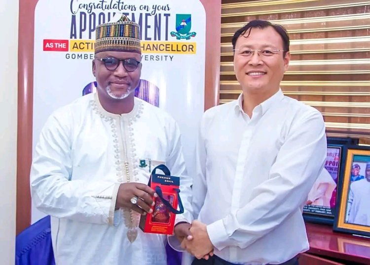 Gombe State University Explores Partnership with Chinese Institutions