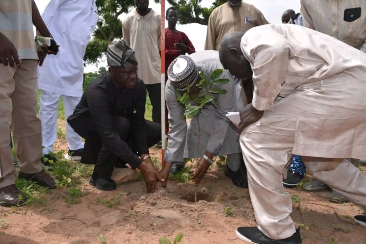 FRIN Launches Tree Planting Exercise at Modibbo Adama University, Yola