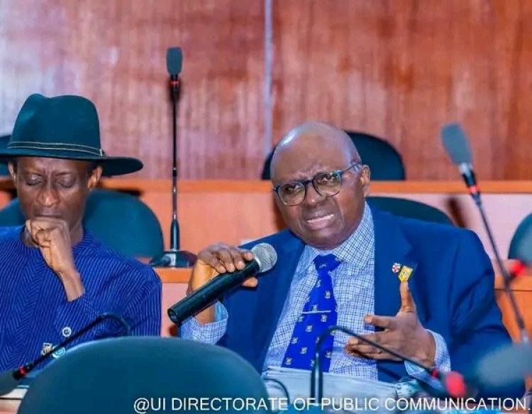 Egbe Omo Oduduwa Inc. Awards Scholarship to 27 UI Students