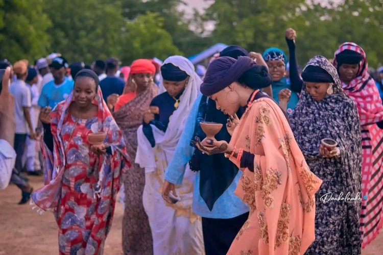Federal University Dutse Hosts Vibrant Cultural Festival