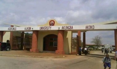 Ondo University Lecturers Begin Strike Over Unpaid Salaries