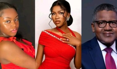 “The Least You Can Do Is Sponsor Ruth’s Children Through School” – Saida Boj Urges Dangote