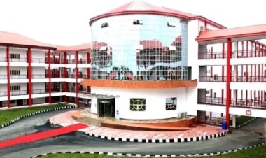 60-Year-Old Woman Gives Birth at ABUAD Multi-System Hospital