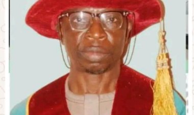 Ahmadu Bello University Professor Unveils Groundbreaking Speech Theory "Gbobeism"