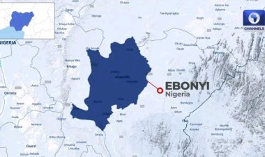 Two Missing Visually Impaired Students Rescued in Enugu After Three Months