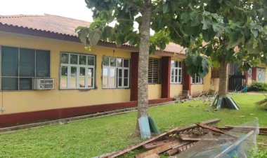 Federal University of Agriculture, Abeokuta International School  Undergoes Comprehensive Renovation Drive