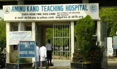 Tragedy Strikes Aminu Kano Teaching Hospital as Three Patients Die After Electricity Disconnection