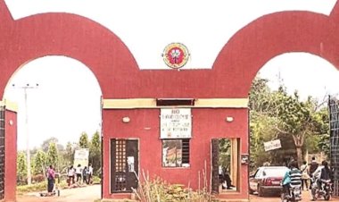 Two Students Feared Dead as Cult Clash Erupts During Signing-Out Celebration