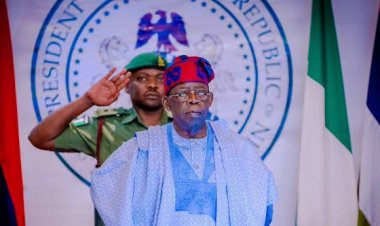 FG Fixes Fresh Deadline for Certificate Verification in Line with New Education Policy