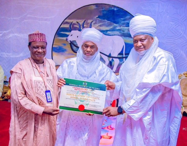 North-Eastern University Founder Highlights University's Achievements and Future Goals