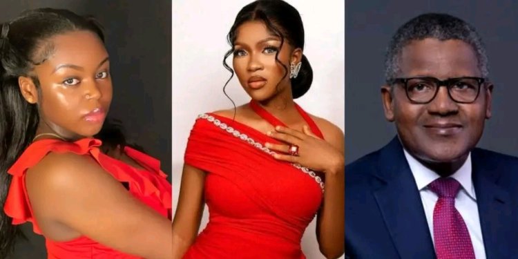 “The Least You Can Do Is Sponsor Ruth’s Children Through School” – Saida Boj Urges Dangote