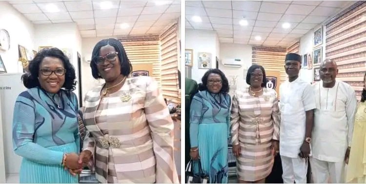 UNIDEL Honours Pioneer Dean of Faculty of Agriculture