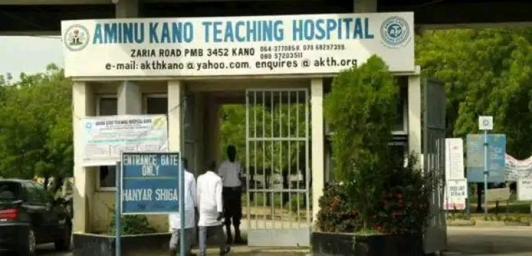Tragedy Strikes Aminu Kano Teaching Hospital as Three Patients Die After Electricity Disconnection