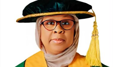 Sa'adu Zungur University VC Commends Nigeria's Journey at 64