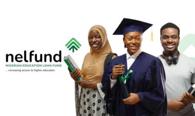 Student Loan Scheme Records Over 500,000 Beneficiaries, Says FG