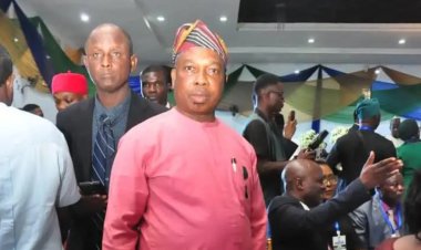 UNIDEL Bursar, Sunny Ikeogwu, Elevated to Fellow of ANAN