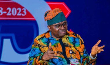 University of Ibadan VC Emphasizes Importance of Collaboration in Research