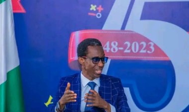 University of Ibadan Ready to Launch New Academic Programmes