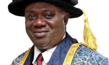 Professor Uduma Appointed as Next Vice-Chancellor of the National Open University of Nigeria (NOUN)