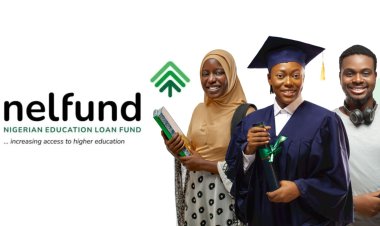 NELFUND Reopens Student Loan Portal For 2024/2025 Academic Session