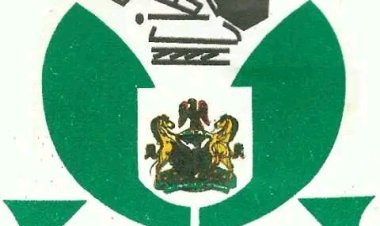 NECO Extends 2025 Nov/Dec NBC, NTC, ANBC, ANTC Exam Registration — Final Deadline Set for October 19