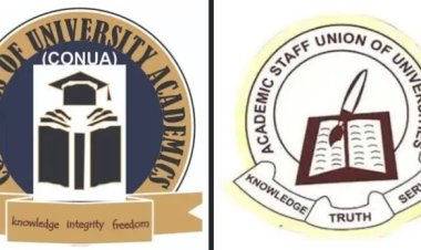 CONUA Distances Itself from ASUU Strike, Orders Members to Continue Work