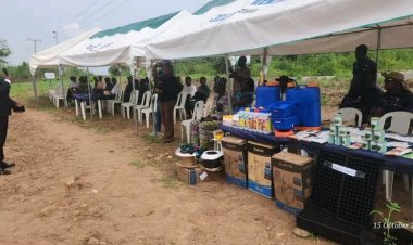 FUNAAB, Dizengoff Nigeria Host Farmers’ Field Day to Promote Agricultural Innovation