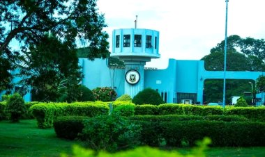 University of Ibadan Recognized as Central to Youth and Adolescent Well-Being