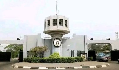 University of Ibadan Maintains Top Nigerian Position in 2026 Times Higher Education Rankings