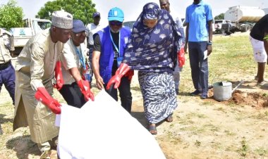 UNIMAID Commemorates UN@80 with Tree-Planting Exercise