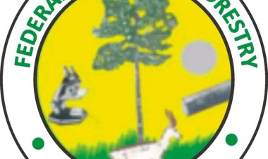 Federal College of Forestry, Ibadan Opens Admission for 2025/2026 Academic Session