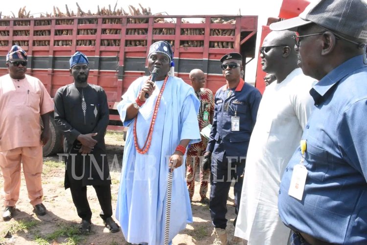FUNAAB, Musarchy Farms Achieve Milestone in 7-Hectare Cassava Project