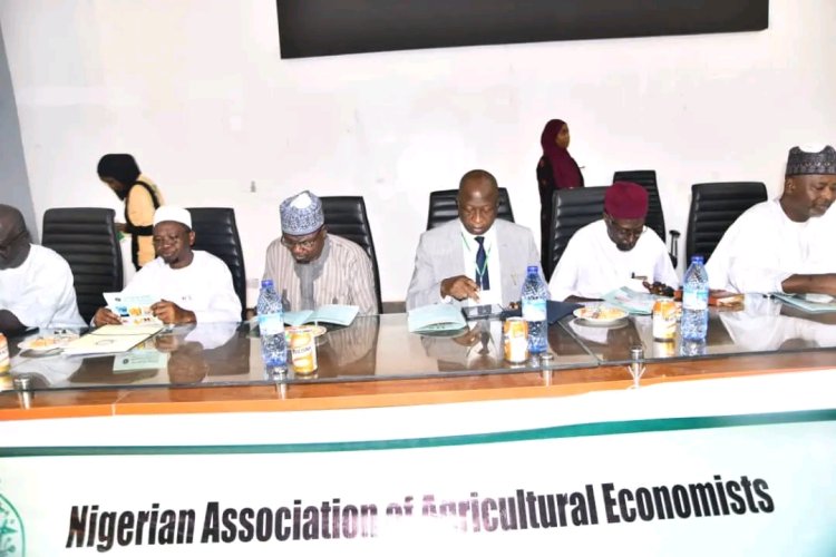 Agricultural Economists Converge in ABU Zaria for 25th Annual Conference