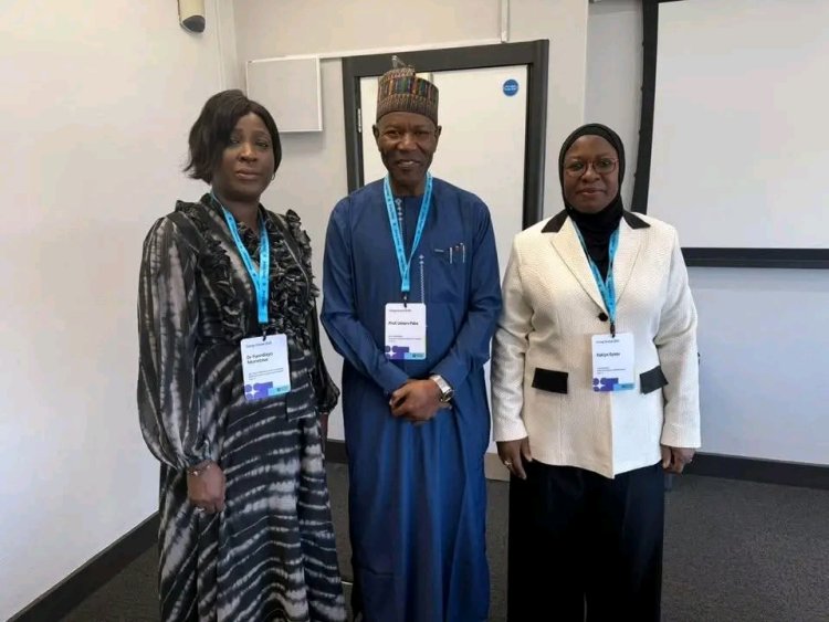 Professor Umaru Pate Meets with Nigerian Education Officials in London
