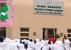 Bauchi Nursing College Switches to Online Classes Amid Insecurity Concerns
