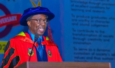 UI Don Advocates for Multi-Pronged Approach to Enhance Seafood Safety in Nigeria