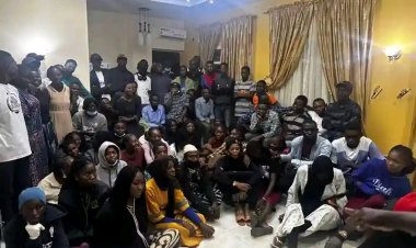 Military Rescues 74 NYSC Members from Possible Abduction in Borno