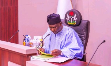 Adamawa Governor Appoints Leadership Team for New College of Technology, Innovation and Entrepreneurship Studies, Gulak