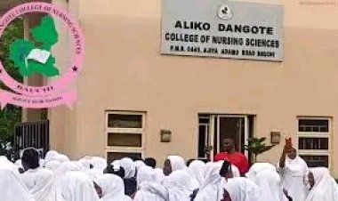 Bauchi Nursing College Switches to Online Classes Amid Insecurity Concerns