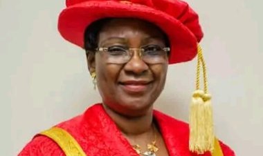 Lagos State University VC Appointed to Board of NgREN/TERAS Integration