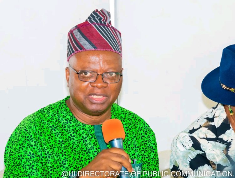 University of Ibadan Pushes for Research Commercialization