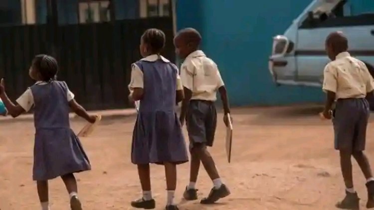 Nigeria Reverts to English as Language of Instruction in Primary Schools