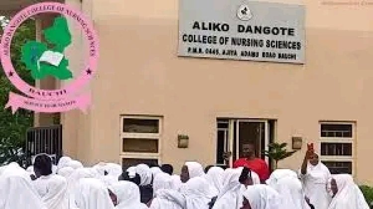 Bauchi Nursing College Switches to Online Classes Amid Insecurity Concerns