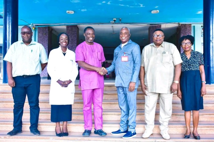 University College Hospital Ibadan Institute of Neuroscience Visits Management