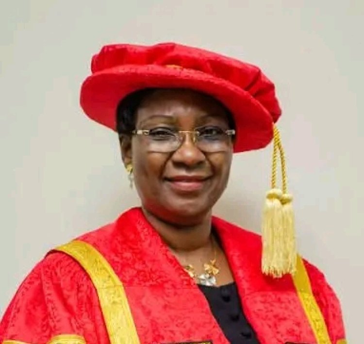 Lagos State University VC Appointed to Board of NgREN/TERAS Integration