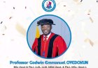 Lead City University Honours Professor Godwin Emmanuel Oyedokun with Scholar Award